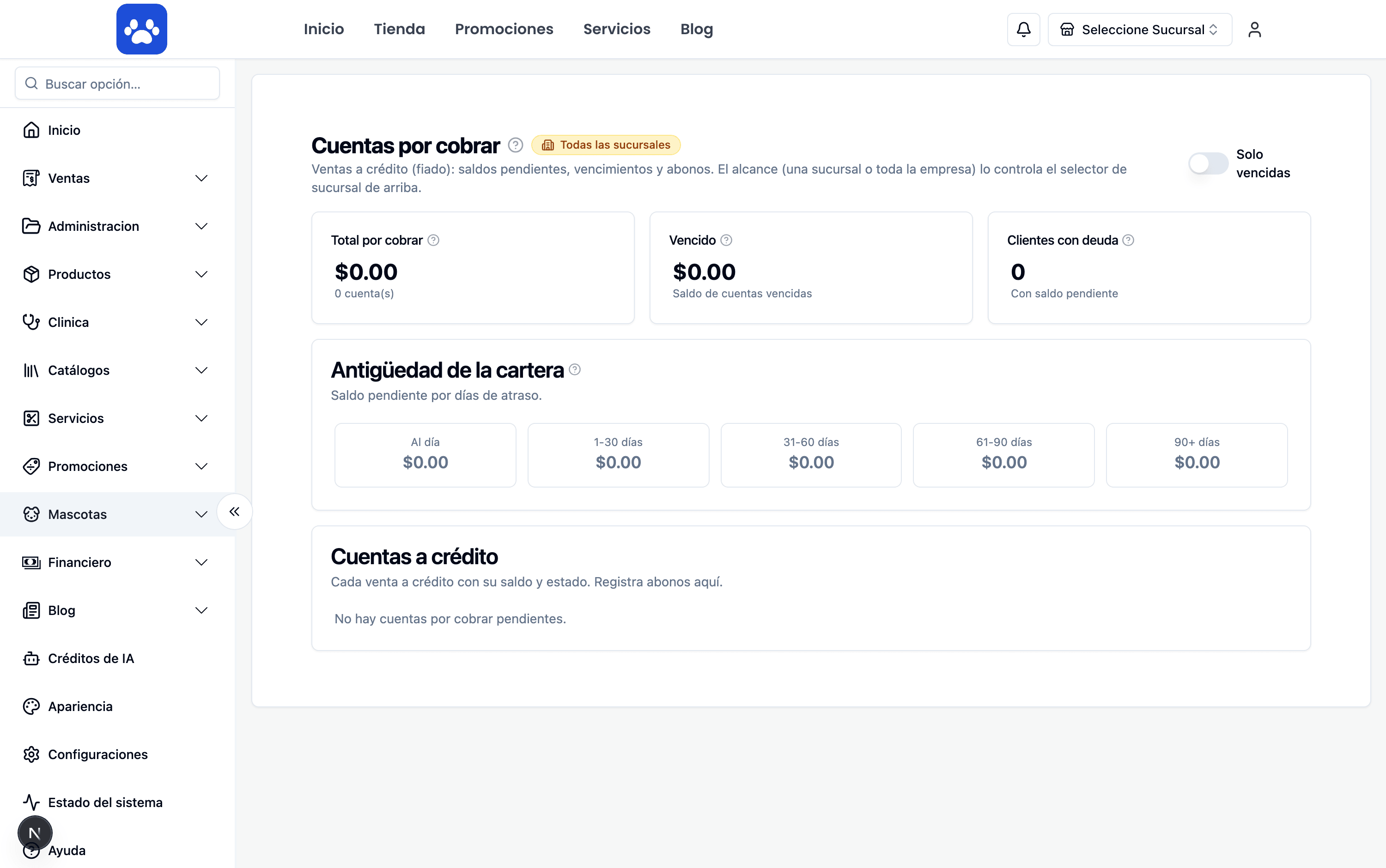 Accounts receivable — Real screenshot of the system